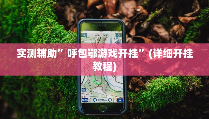 实测辅助”呼包鄂游戏开挂”(详细开挂教程)