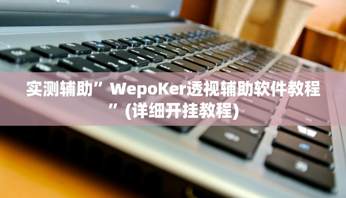 实测辅助”WepoKer透视辅助软件教程”(详细开挂教程)