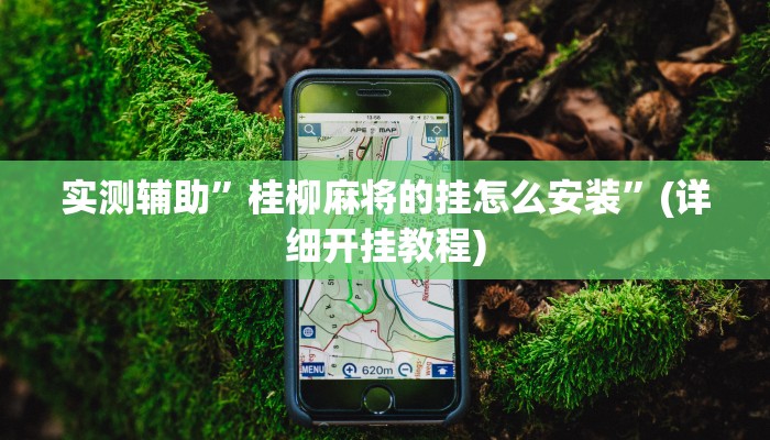 实测辅助”桂柳麻将的挂怎么安装”(详细开挂教程)