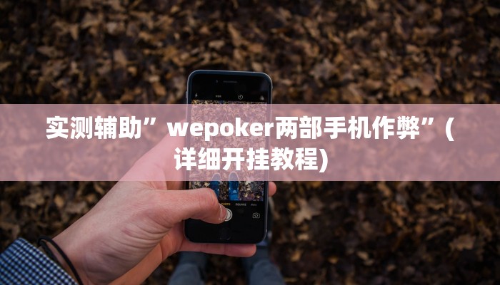 实测辅助”wepoker两部手机作弊”(详细开挂教程)
