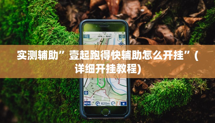 实测辅助”壹起跑得快辅助怎么开挂”(详细开挂教程)