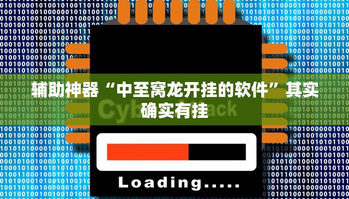 辅助神器“中至窝龙开挂的软件”其实确实有挂