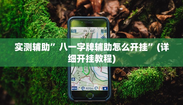 实测辅助”八一字牌辅助怎么开挂”(详细开挂教程)