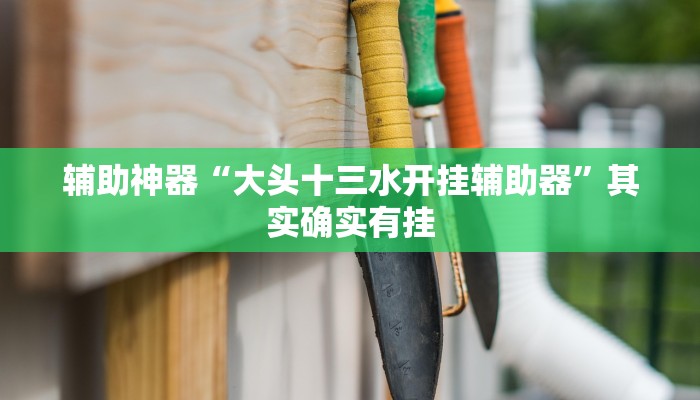辅助神器“大头十三水开挂辅助器”其实确实有挂