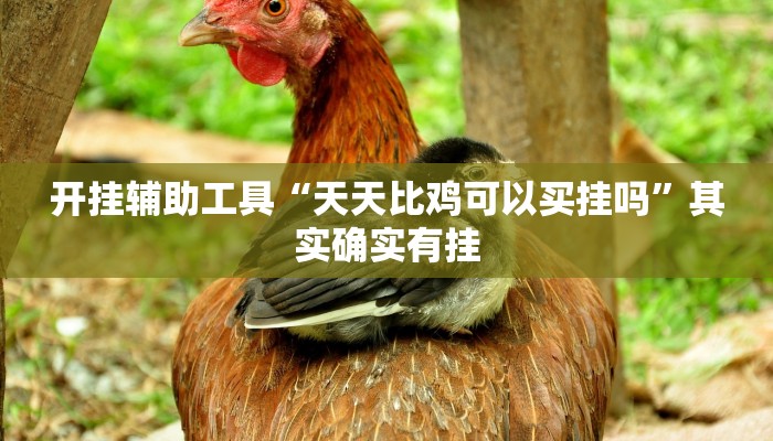 开挂辅助工具“天天比鸡可以买挂吗”其实确实有挂