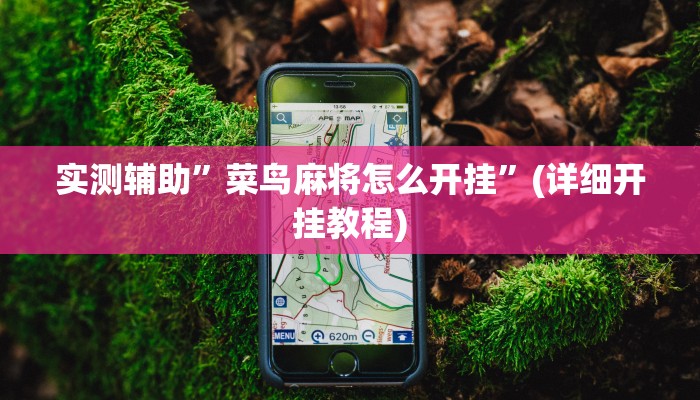 实测辅助”大齐山东麻将怎么开挂”详细开挂教程