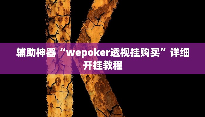 辅助神器“wepoker透视挂购买”详细开挂教程
