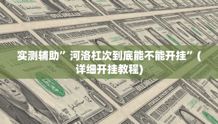 实测辅助”河洛杠次到底能不能开挂”(详细开挂教程)