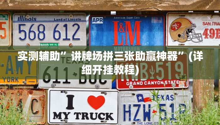 实测辅助”新人皇辅助怎么开挂”(详细开挂教程)