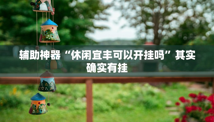 辅助神器“休闲宜丰可以开挂吗”其实确实有挂