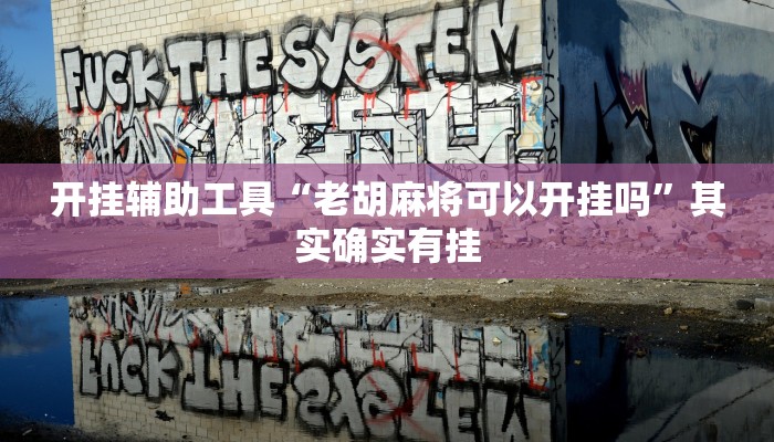 开挂辅助工具“老胡麻将可以开挂吗”其实确实有挂