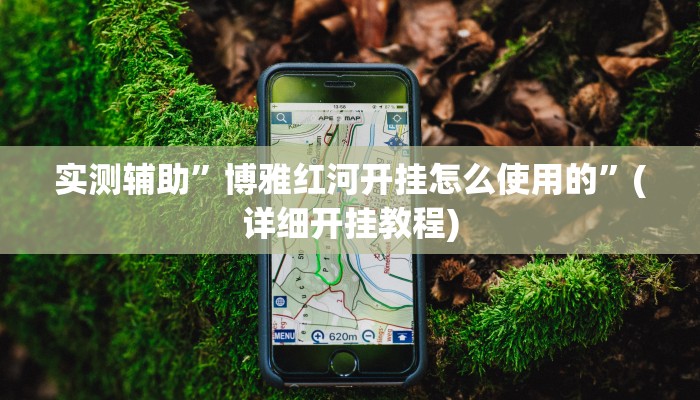 实测辅助”博雅红河开挂怎么使用的”(详细开挂教程)