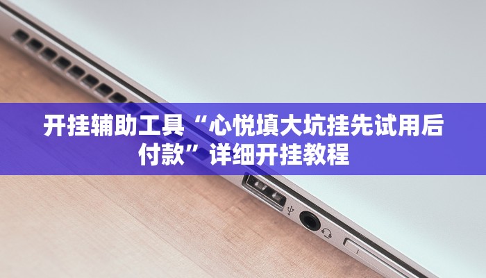 开挂辅助工具“心悦填大坑挂先试用后付款”详细开挂教程