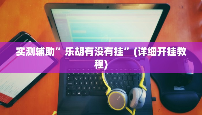 实测辅助”乐胡有没有挂”(详细开挂教程)