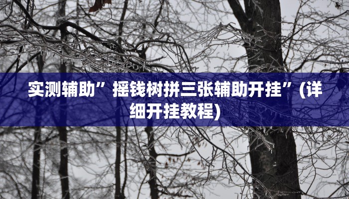 实测辅助”新科乐棋牌开挂神器”(详细开挂教程)