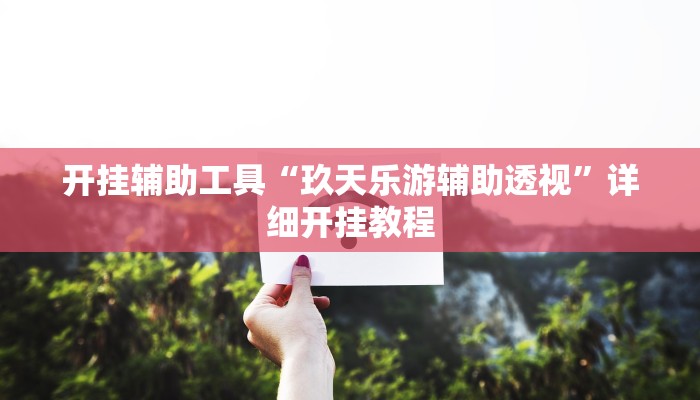 开挂辅助工具“玖天乐游辅助透视”详细开挂教程