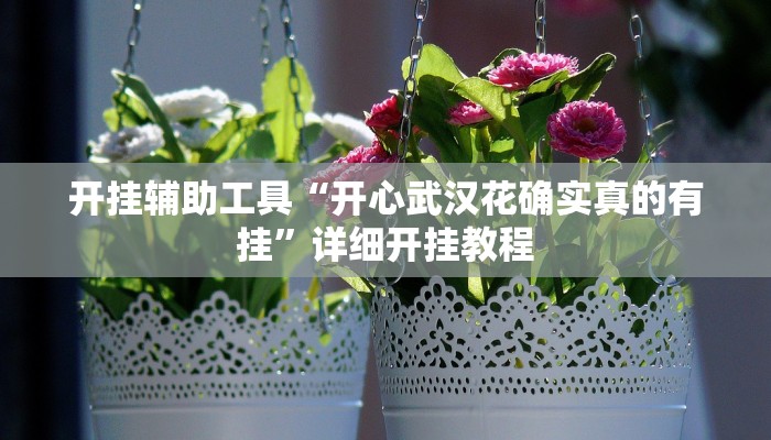 开挂辅助工具“开心武汉花确实真的有挂”详细开挂教程
