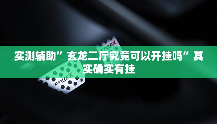 实测辅助”玄龙二厅究竟可以开挂吗”其实确实有挂