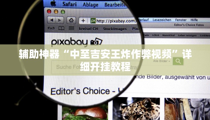 辅助神器“中至吉安王炸作弊视频”详细开挂教程