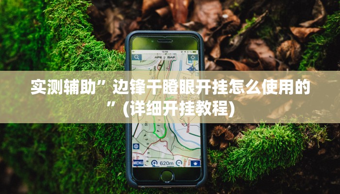 开挂辅助工具“西南九九确实真的有挂”其实确实有挂