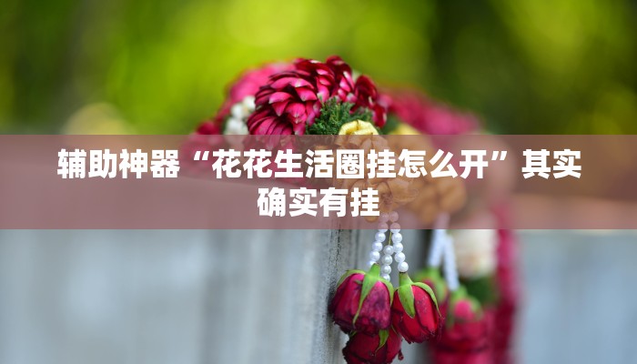辅助神器“花花生活圈挂怎么开”其实确实有挂