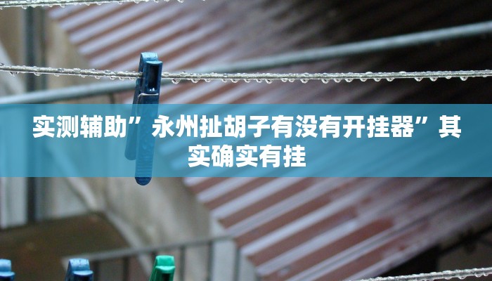 实测辅助”永州扯胡子有没有开挂器”其实确实有挂