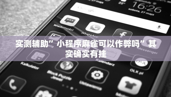 实测辅助”小程序麻雀可以作弊吗”其实确实有挂