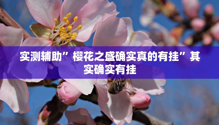 实测辅助”樱花之盛确实真的有挂”其实确实有挂