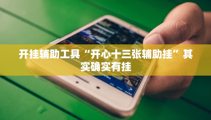 开挂辅助工具“开心十三张辅助挂”其实确实有挂