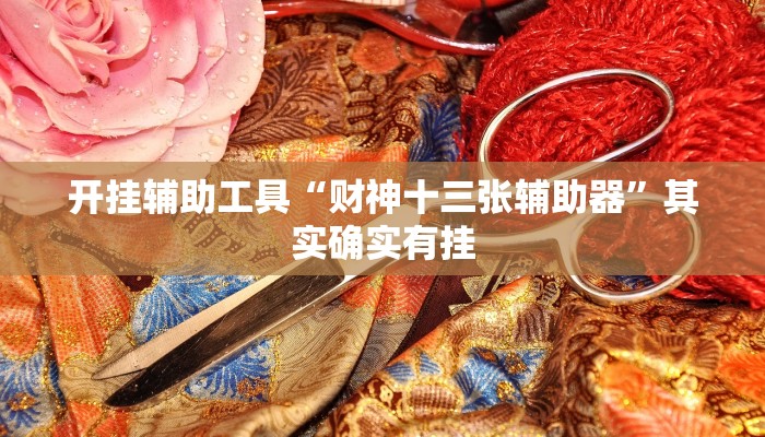 开挂辅助工具“财神十三张辅助器”其实确实有挂