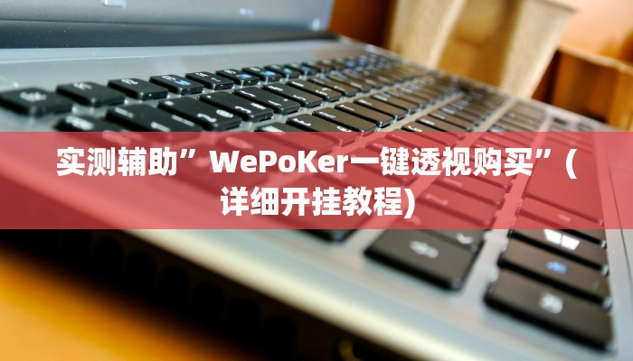 实测辅助”WePoKer一键透视购买”(详细开挂教程)