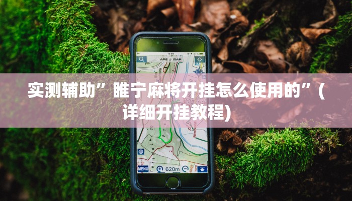 实测辅助”睢宁麻将开挂怎么使用的”(详细开挂教程)