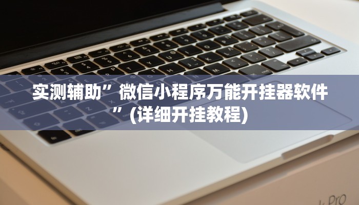实测辅助”微信小程序万能开挂器软件”(详细开挂教程)