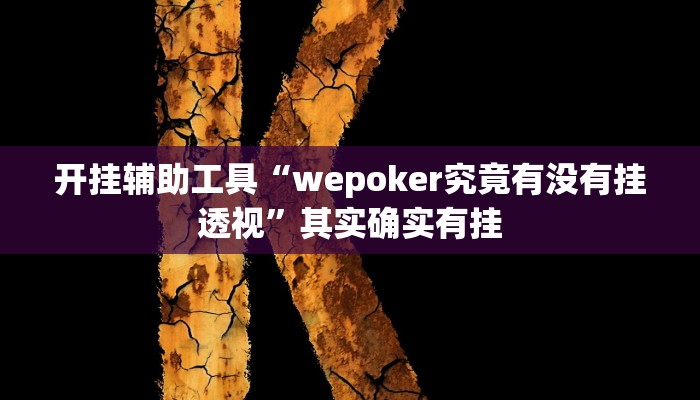 开挂辅助工具“wepoker究竟有没有挂透视”其实确实有挂