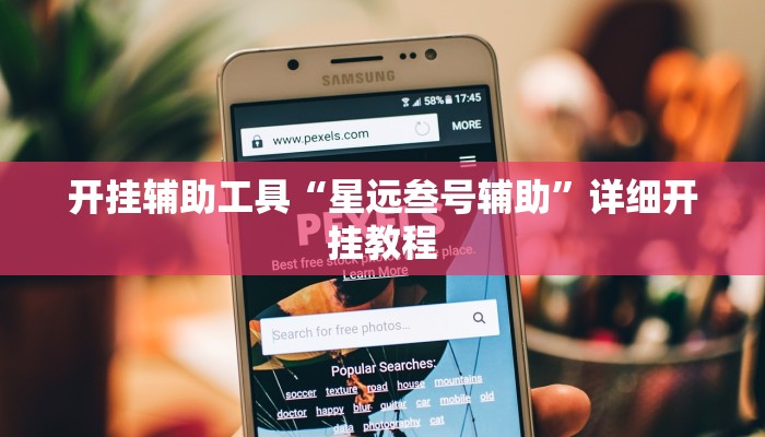 开挂辅助工具“星远叁号辅助”详细开挂教程