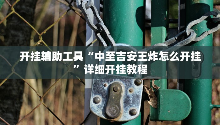 开挂辅助工具“中至吉安王炸怎么开挂”详细开挂教程