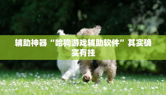 实测辅助”全民如意棋牌赢了十几万是真的吗”其实确实有挂