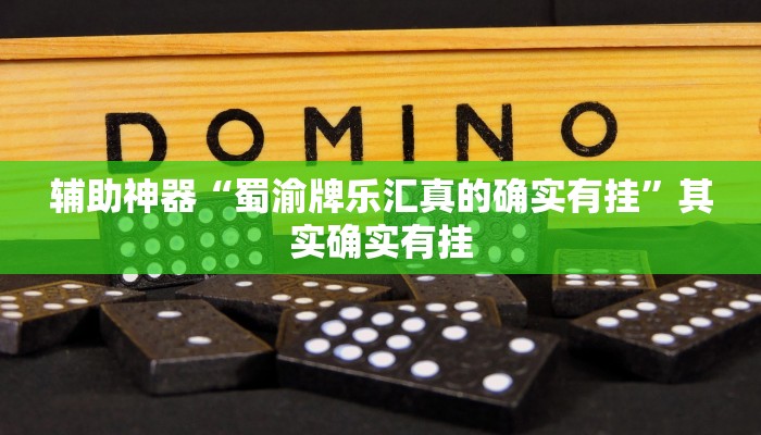 辅助神器“边锋干瞪眼怎么开挂”其实确实有挂