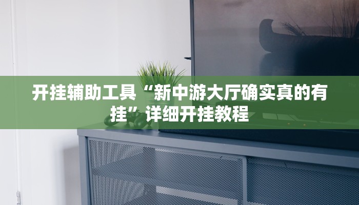 开挂辅助工具“新中游大厅确实真的有挂”详细开挂教程