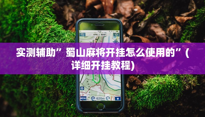实测辅助”蜀山麻将开挂怎么使用的”(详细开挂教程)