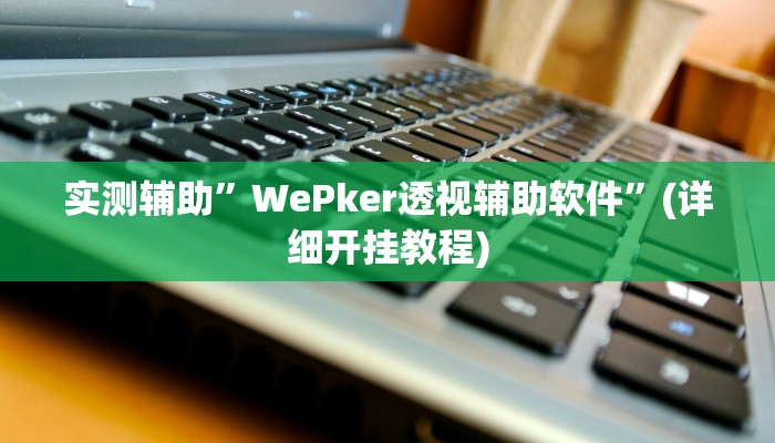 实测辅助”WePker透视辅助软件”(详细开挂教程)