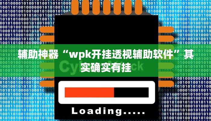 辅助神器“wpk开挂透视辅助软件”其实确实有挂