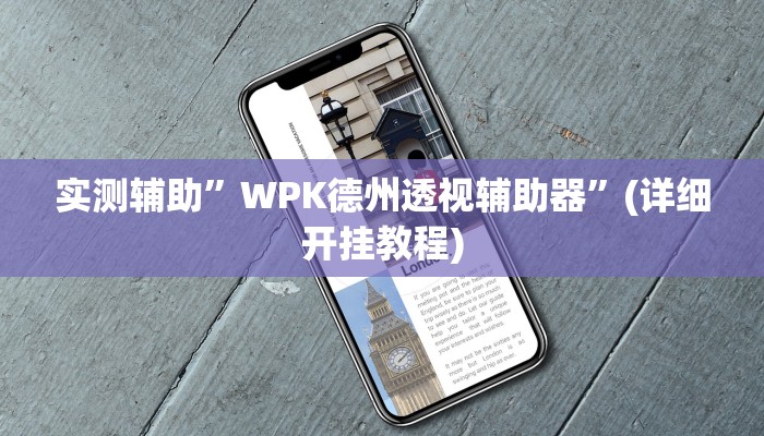 实测辅助”WPK德州透视辅助器”(详细开挂教程)