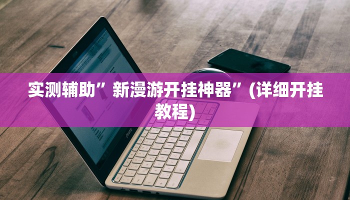 实测辅助”新漫游开挂神器”(详细开挂教程)