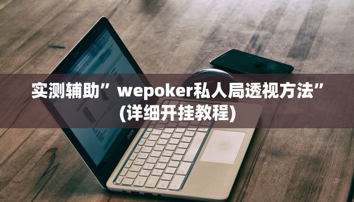 实测辅助”wepoker私人局透视方法”(详细开挂教程)