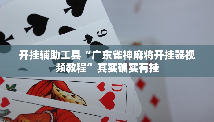 开挂辅助工具“广东雀神麻将开挂器视频教程”其实确实有挂
