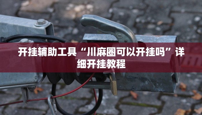 实测辅助”江南苑苑真的确实有挂”(详细开挂教程)