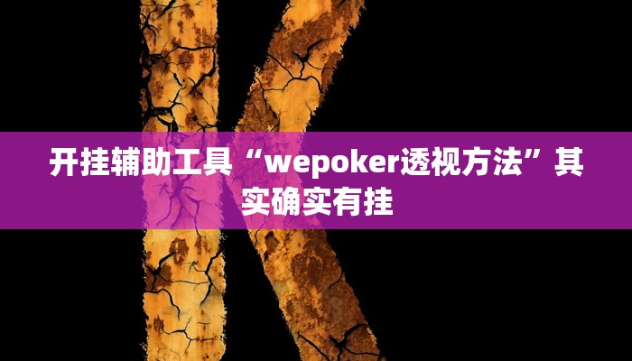 开挂辅助工具“wepoker透视方法”其实确实有挂
