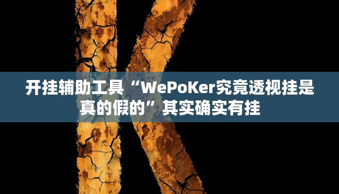开挂辅助工具“WePoKer究竟透视挂是真的假的”其实确实有挂