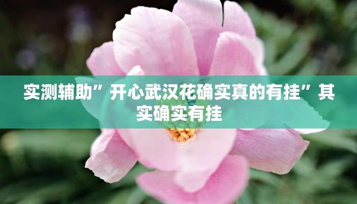 实测辅助”越乡游拼三张用挂开挂软件”(详细开挂教程)